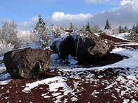 Amertume de volcan. Jadis je rugissais...