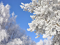 Givre